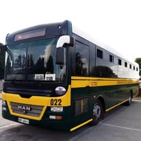 Green and gold Mabirimisa MAN coach 022